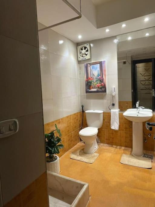 Nile Front Zamalek Abu El Feda 3br Apartment Cairo